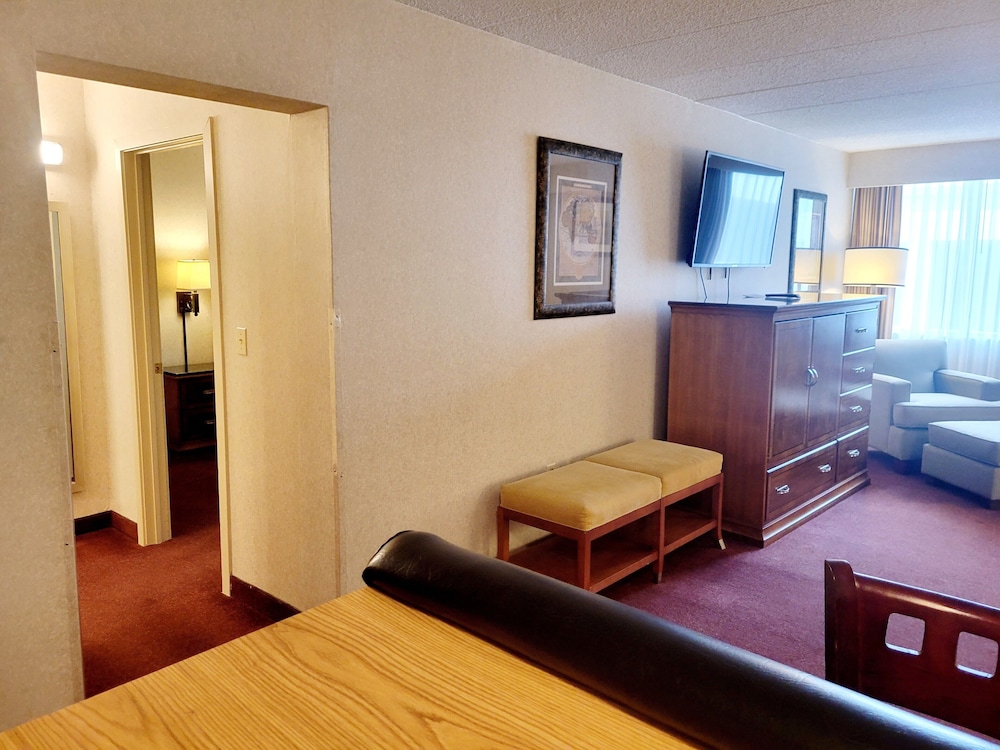 Bangor Grande - photo 9