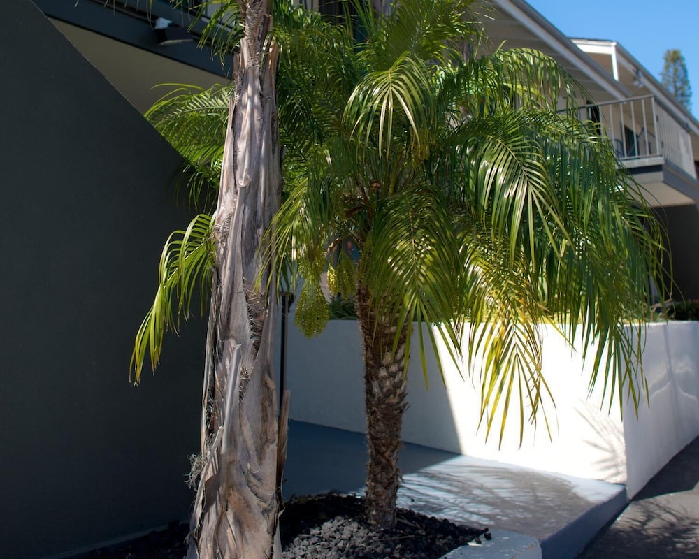 Orange Tree Inn - photo 33