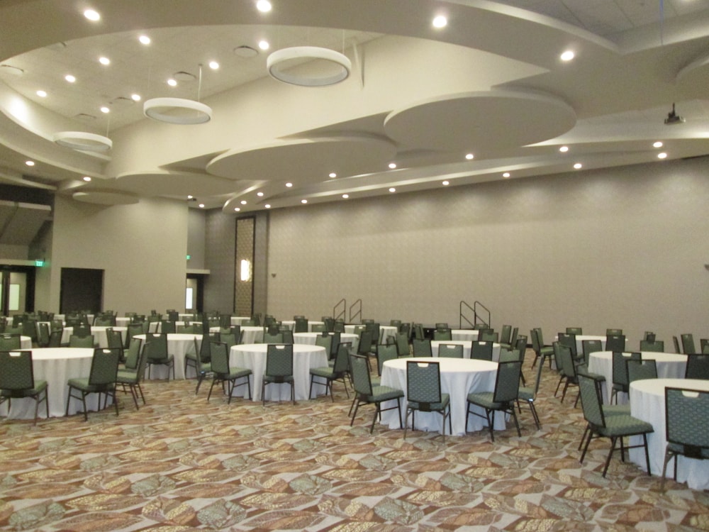 Holiday Inn Express & Suites Chicago West Roselle by IHG - photo 35
