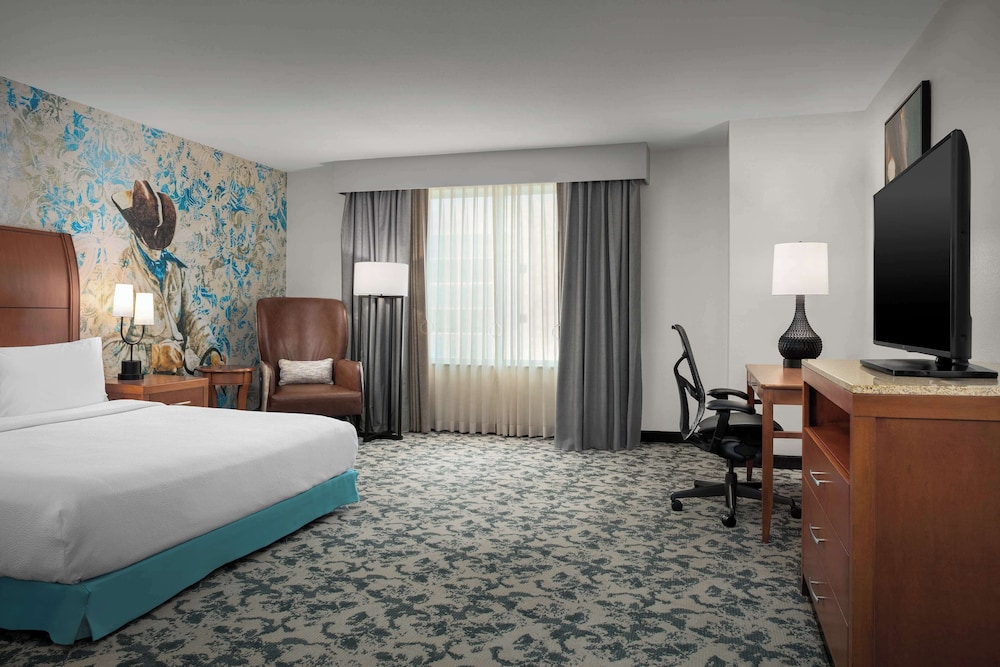 Hilton Garden Inn Fort Worth Medical Center - photo 10