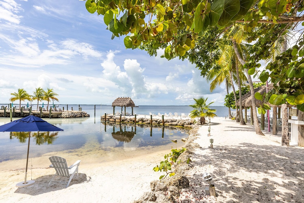 Amoray Dive Resort - photo 153