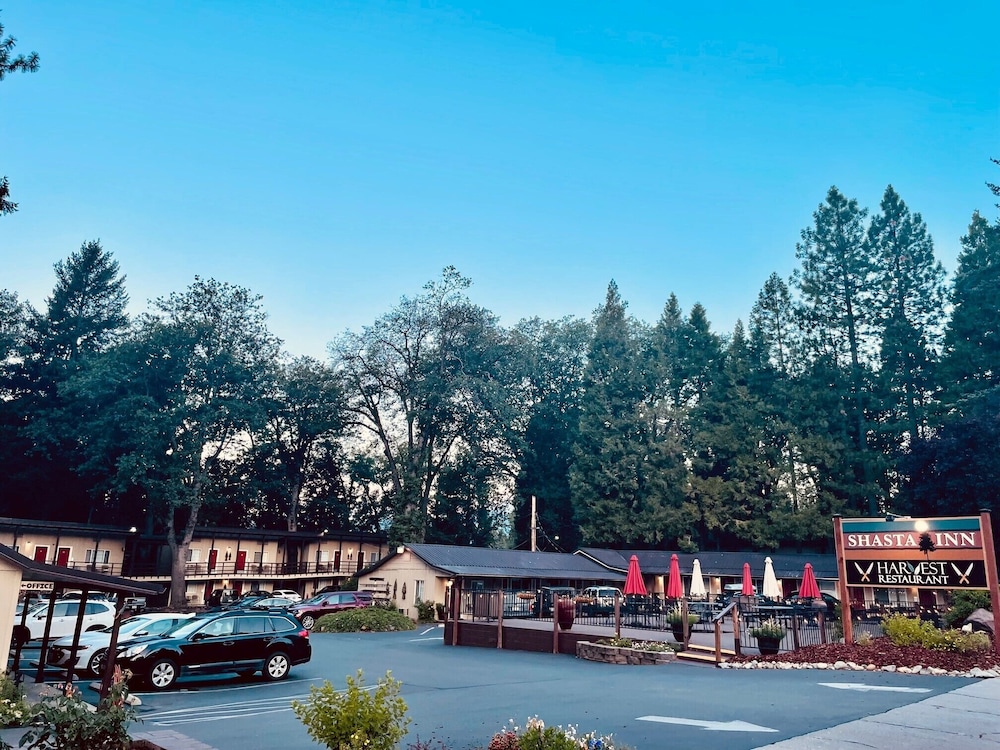 Shasta Inn - photo 18