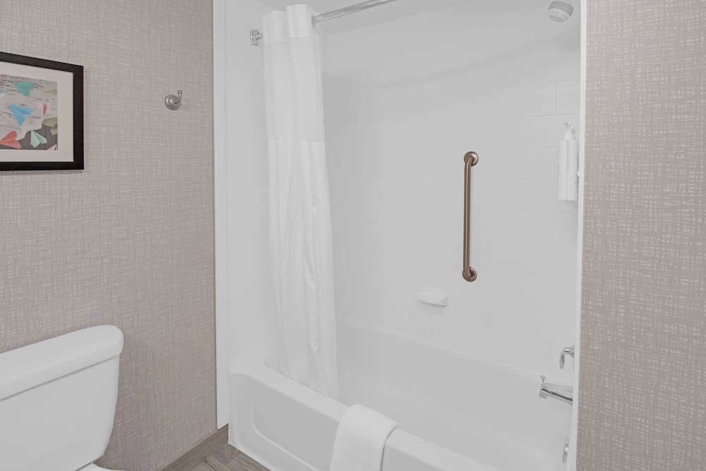 Hampton Inn & Suites Sarasota Bradenton Airport FL - photo 57