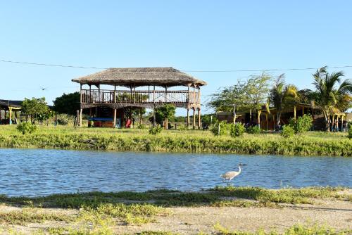 Hospedaje Palaaijat - last minute hotel in Unknown City
