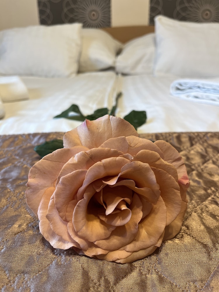 Papillon - last minute hotel in Budapest