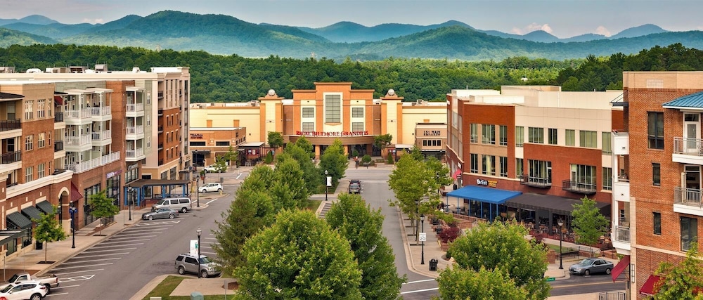 Embassy Suites By Hilton Asheville Downtown - photo 93