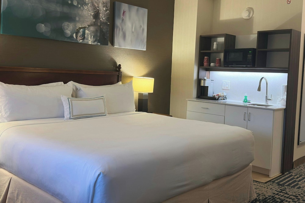 Delta Hotels by Marriott Mount Pleasant - photo 43