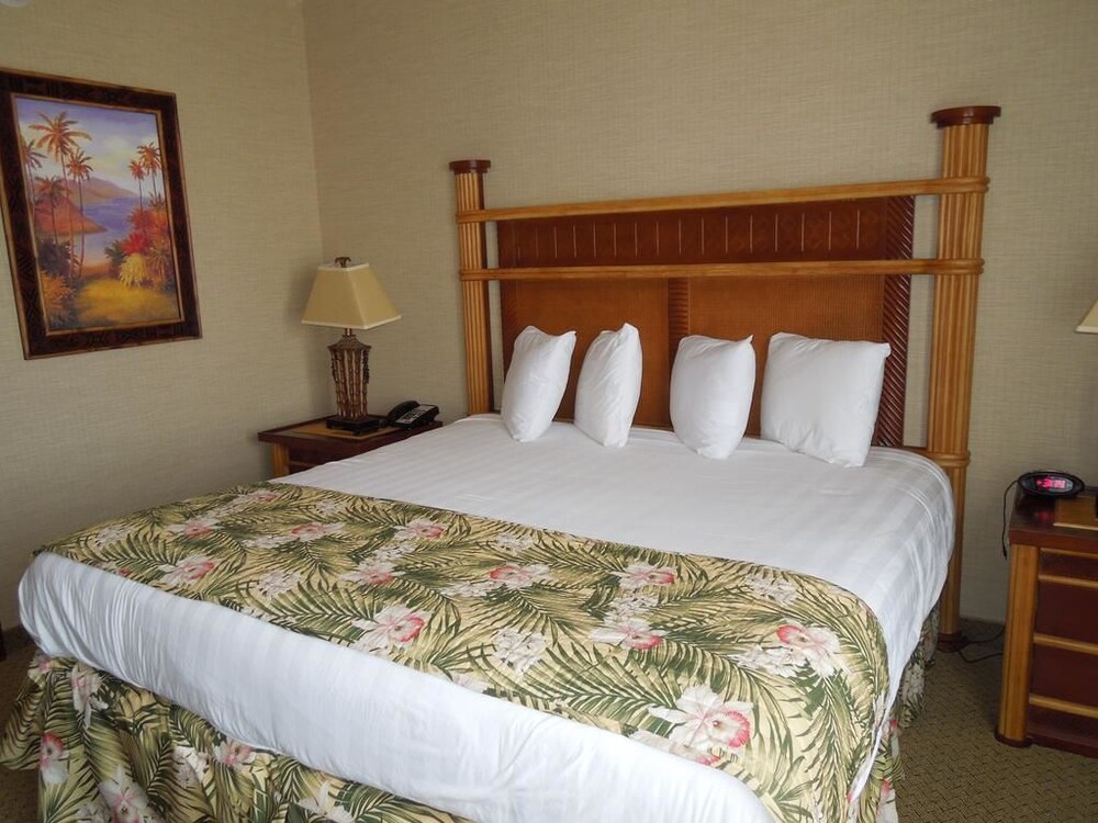 Maui Sands Resort & Indoor Waterpark - photo 13