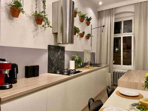 Spacious Apart in the Center Main Square 300m — 4-Star Luxury Hotel in Wroclaw, Poland
