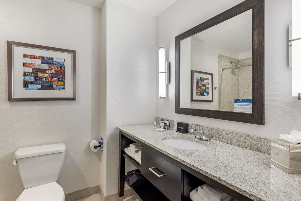 Comfort Inn & Suites Brighton Denver NE Medical Center - photo 25