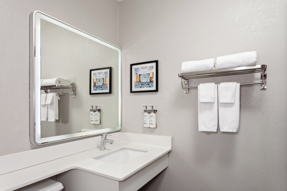 Holiday Inn Chicago Oakbrook by IHG - photo 26
