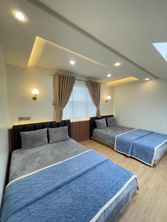 Haura Guesthouse Dieng — Wonosobo — photo 4