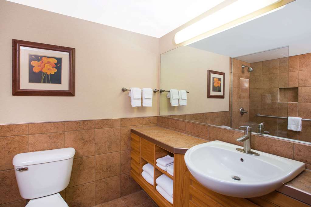 Ramada by Wyndham Des Moines Tropics Resort & Conference Ctr - photo 10