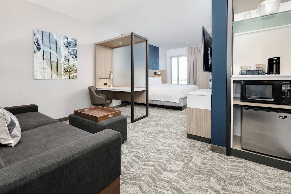 Springhill Suites Dallas Mansfield - photo 11