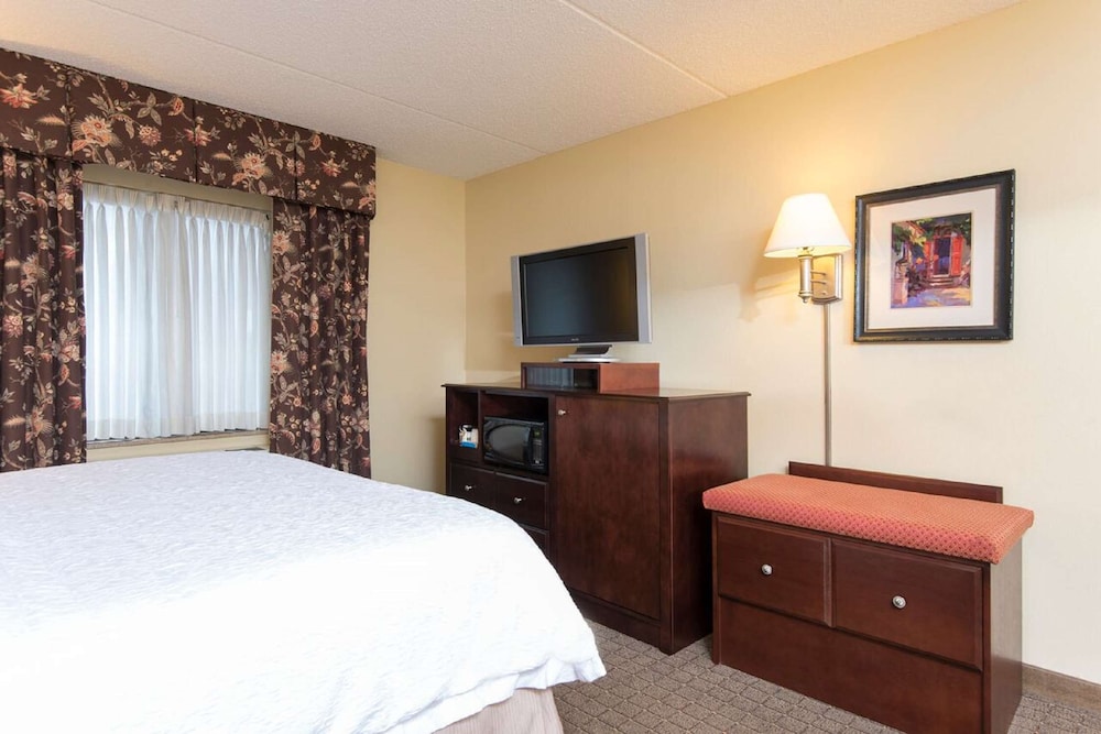 Hampton Inn Schenectady Downtown - photo 6