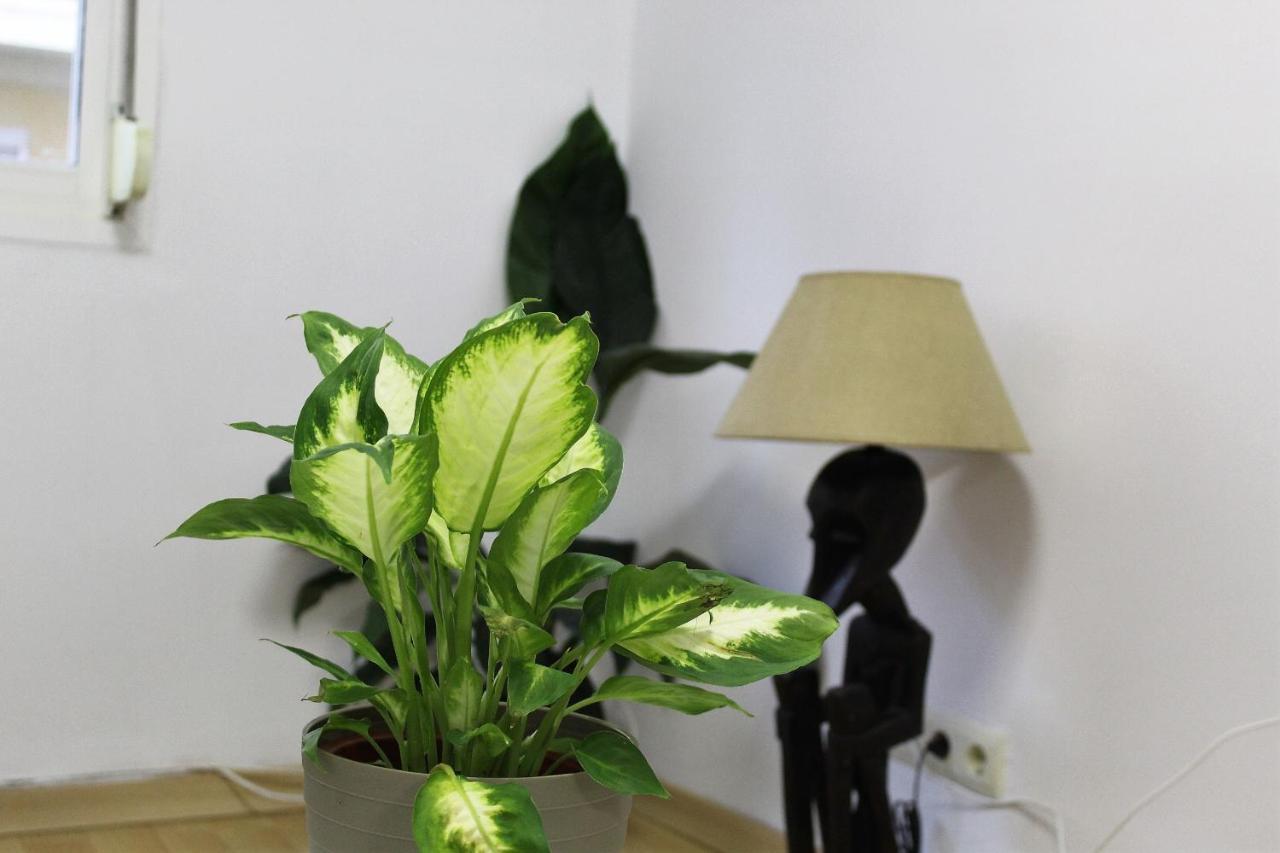 Al Pie Del Camarin Con Parking Gratis in Jaen, Spain