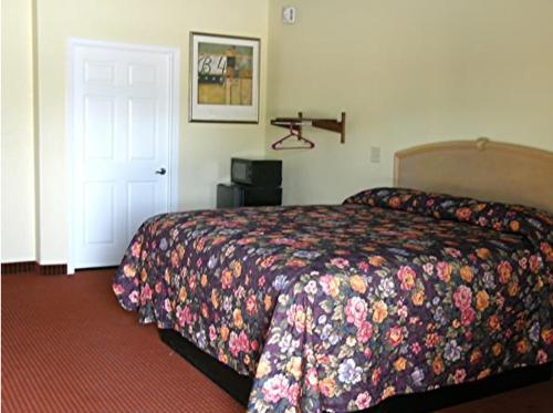 Matador Motel - photo 15