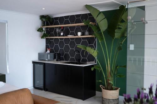 Sea Point Open Large & Romantic 1 Bed Apt