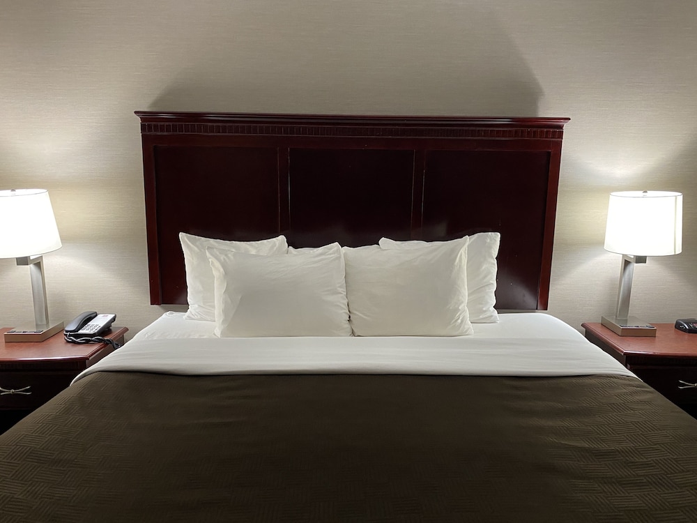 Clarion Inn & Suites Grand Rapids Airport - photo 25
