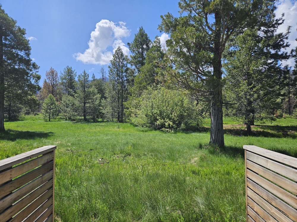 The Black Forest Lodge - photo 23