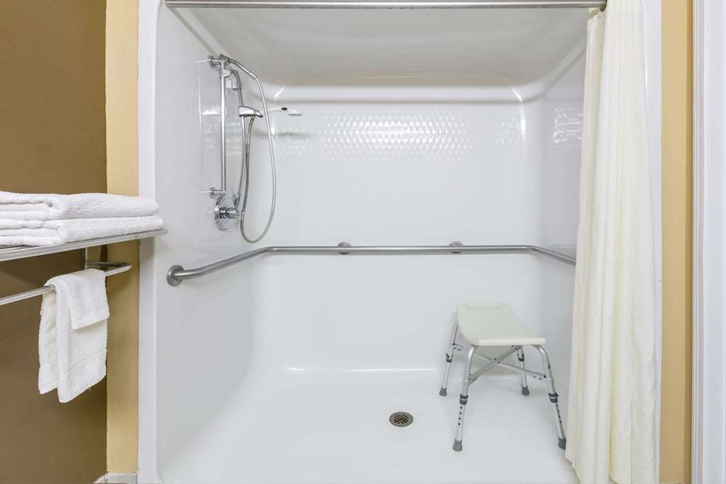 Microtel Inn & Suites by Wyndham Scott Lafayette - photo 9