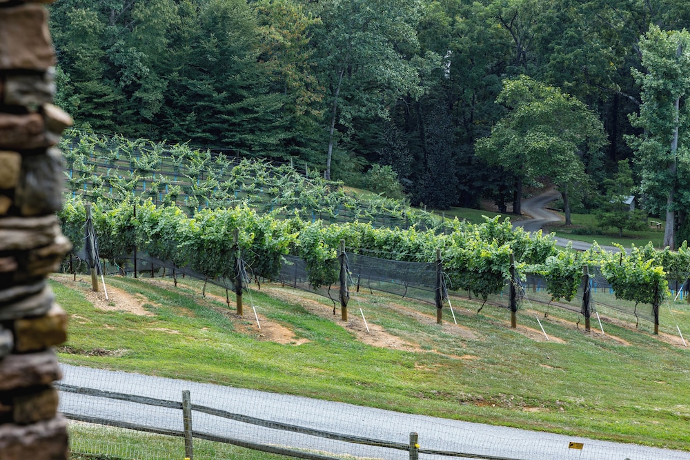 Paradise Hills Winery Resort & Spa - photo 295
