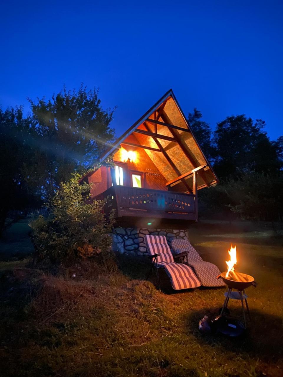 Căbănuță rustică — hotel in Banita