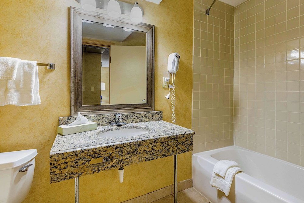Quality Inn & Suites Coldwater near I 69 - photo 44
