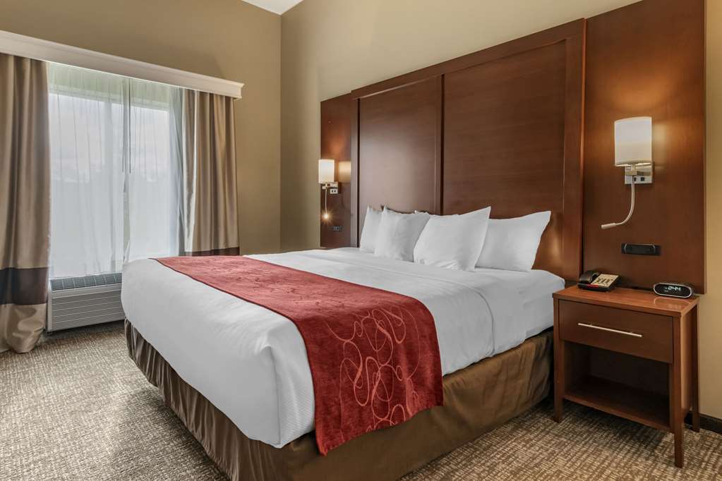 Comfort Suites Manheim Lancaster - photo 13