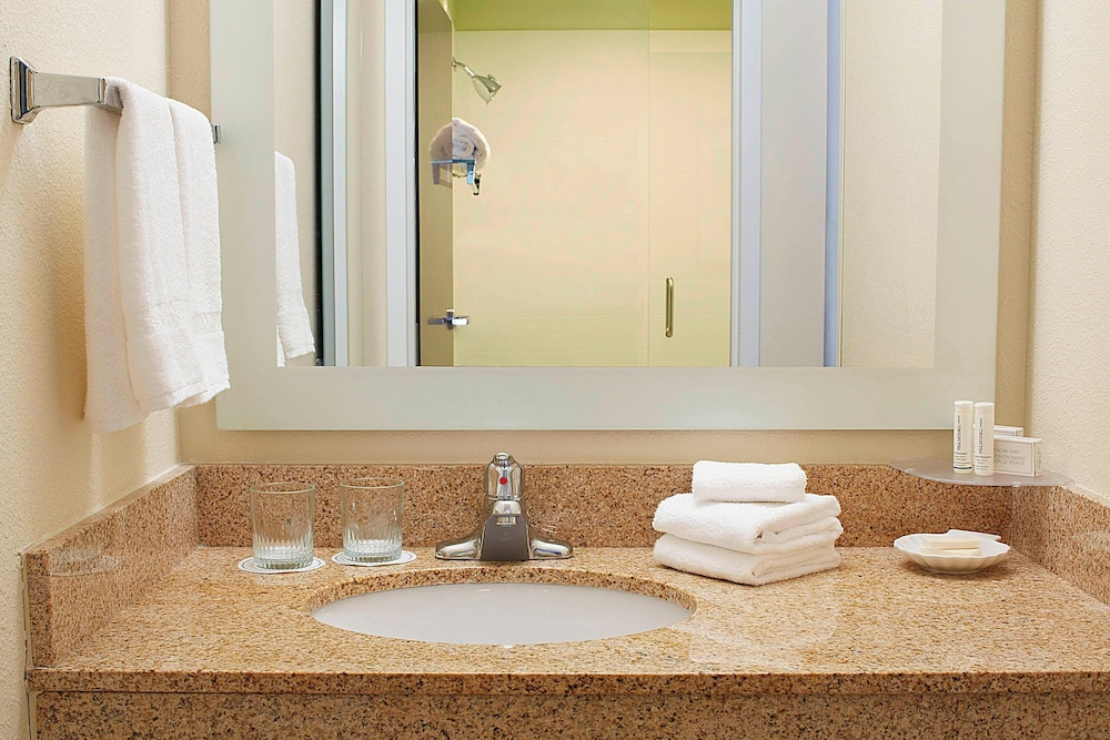 Springhill Suites By Marriott Atlanta Six Flags - photo 13