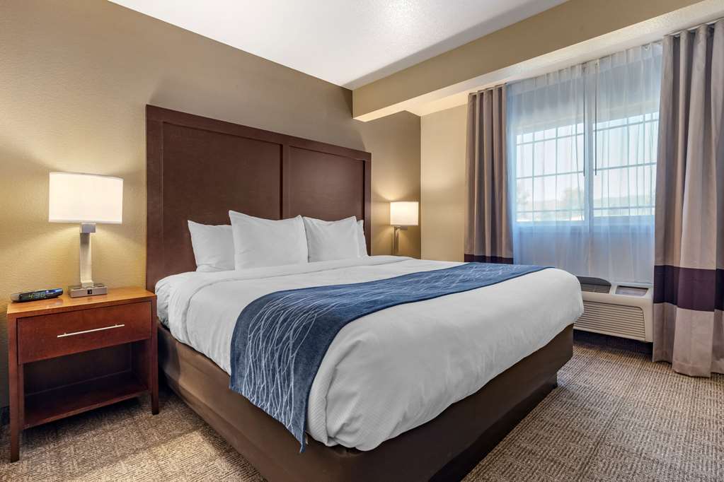 Comfort Inn & Suites Ukiah Mendocino County - photo 22