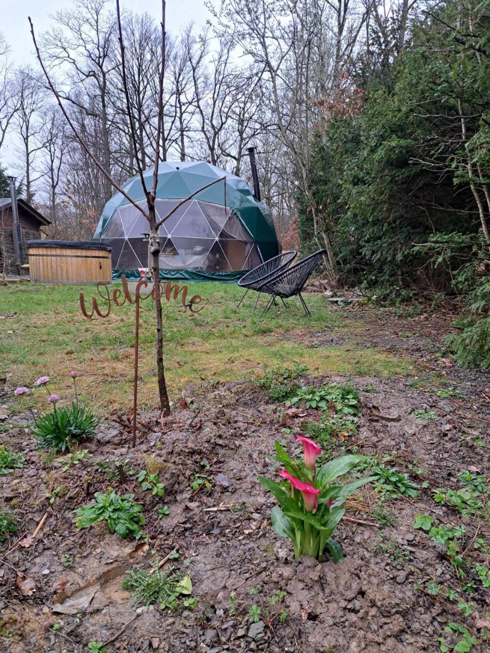Bulle des Fagnes — hotel in Philippeville