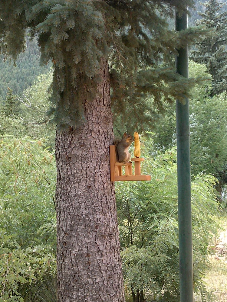 The Green Mountain Falls Lodge - photo 69