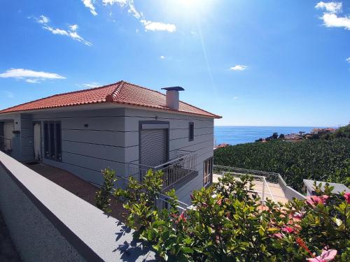 Bluegreen — Calheta — photo 2