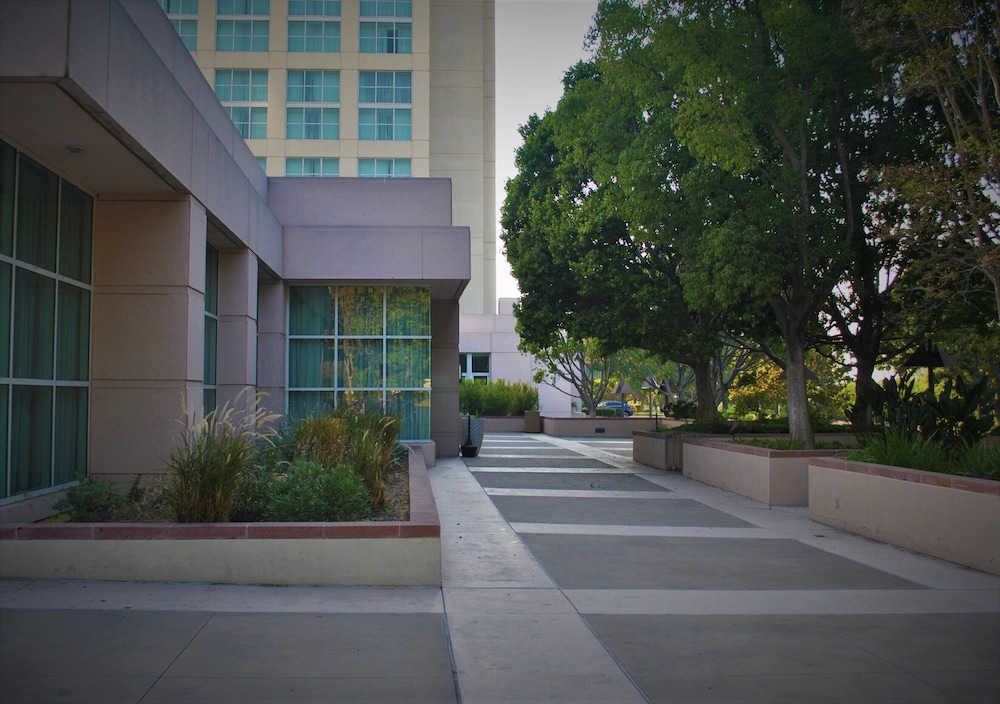 Hilton Los Angeles North Glendale & Executive Meeting Center - photo 38