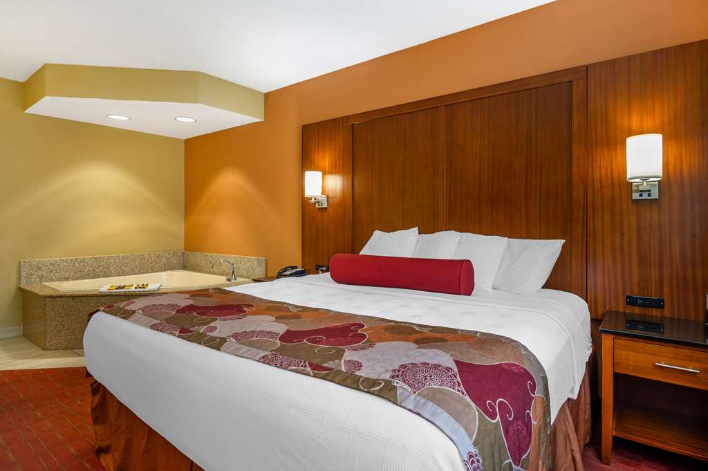 Best Western Plus Georgetown Corporate Center Hotel - photo 11