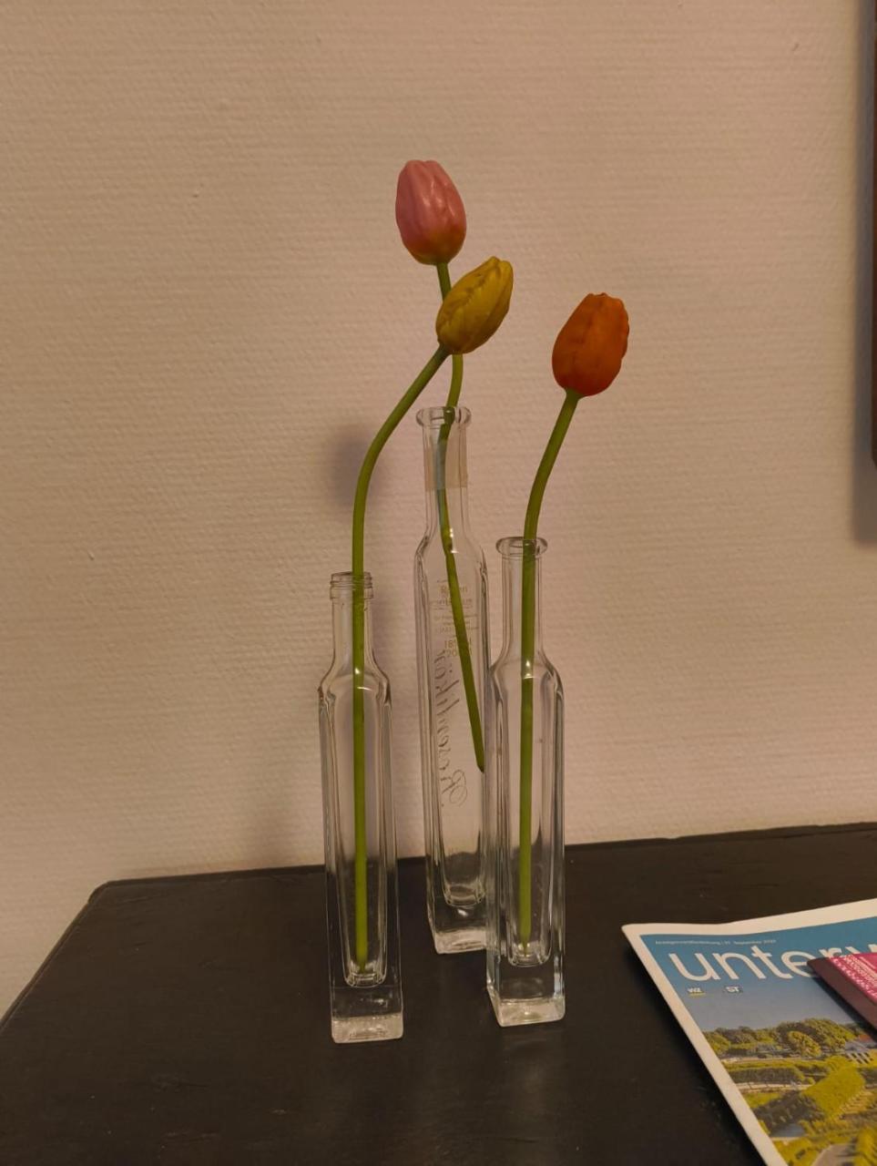 Pinahaus - last minute hotel in Wuppertal