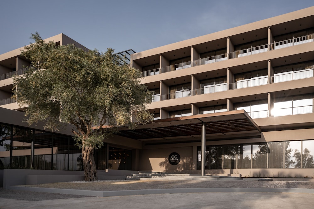 מראה חיצוני