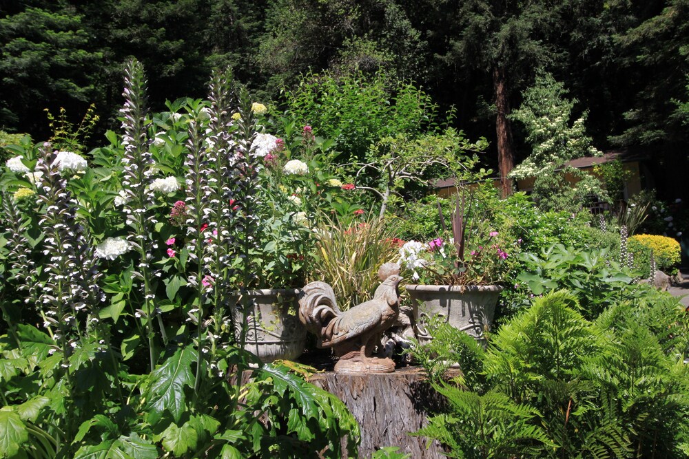 Fern Grove Cottages - photo 82