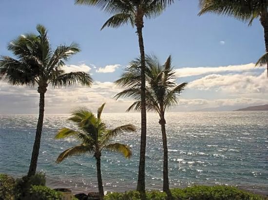 Islander on the Beach Unit 244 - photo 7