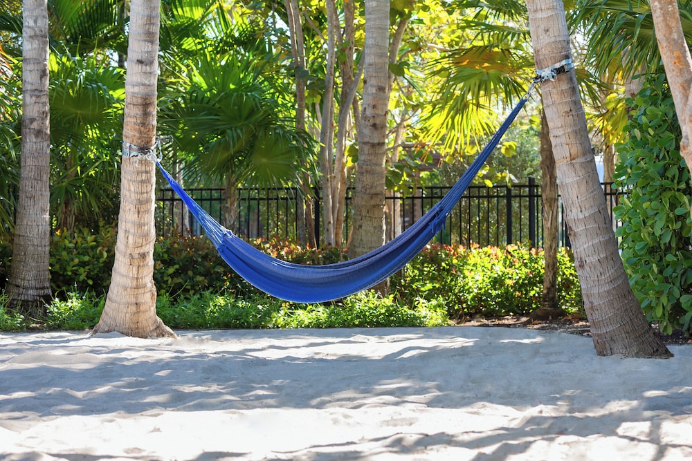 Blue Flamingo Resort Key West - photo 79