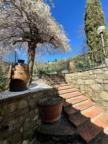Agriturismo Tassinaia — 4-Star Luxury Hotel in Pontassieve, Italy