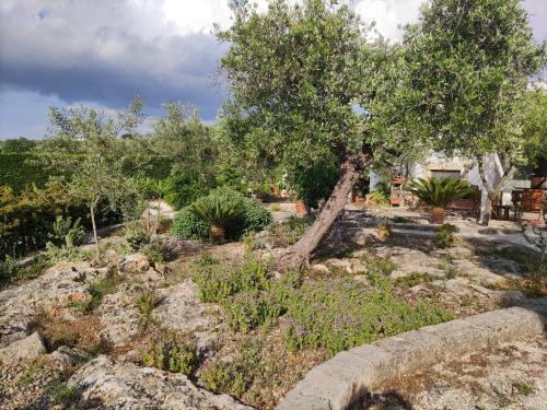 Villa Giulia B&B — 4-Star Luxury Hotel in Castellana, Italy