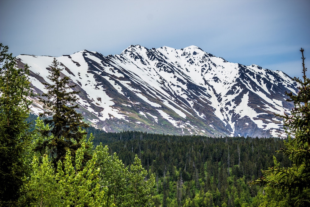 Midnight Sun Log Cabins - photo 67