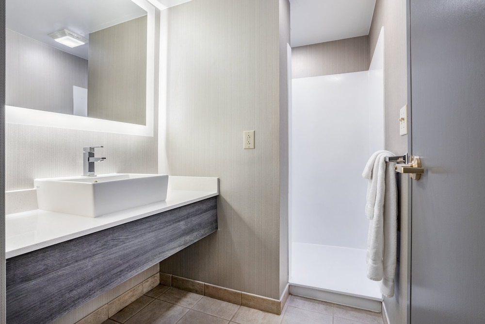 Holiday Inn Lafayette City Centre by IHG - photo 29