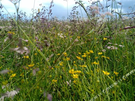 Niangmaojia Inn in Gonghe, People's Republic of China