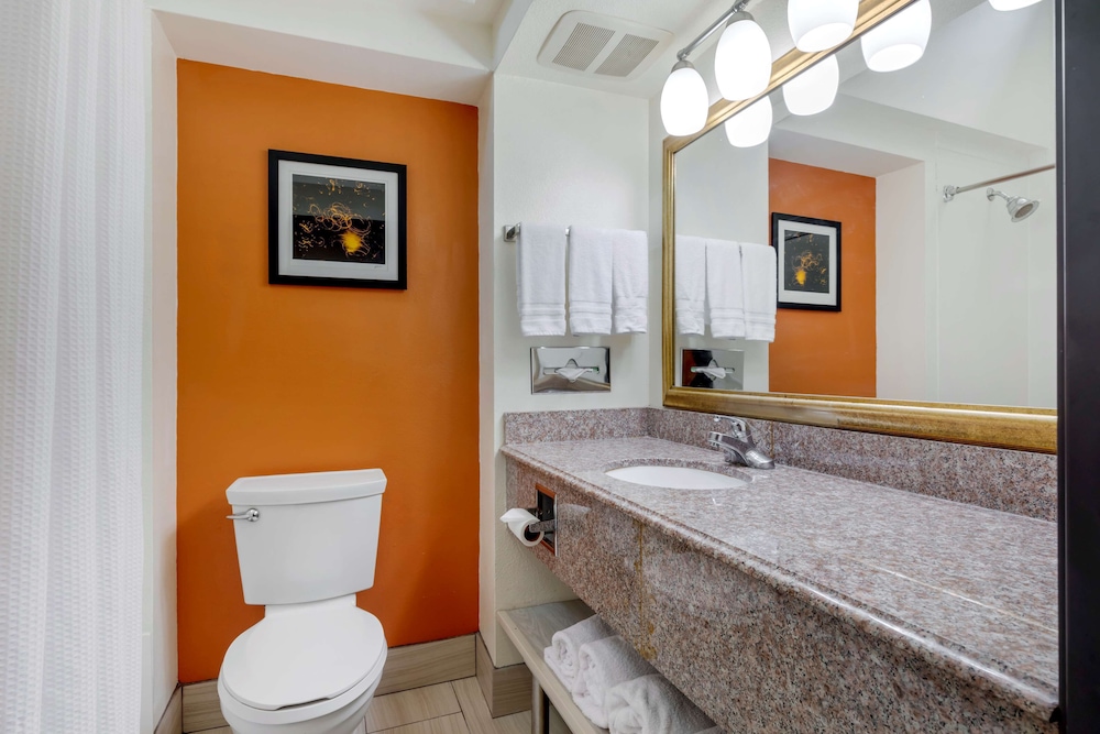 Best Western Plus Rockwall Inn & Suites - photo 22