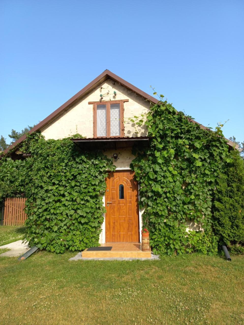 Siedlisko Pod Lasem — Jozefow — photo 5
