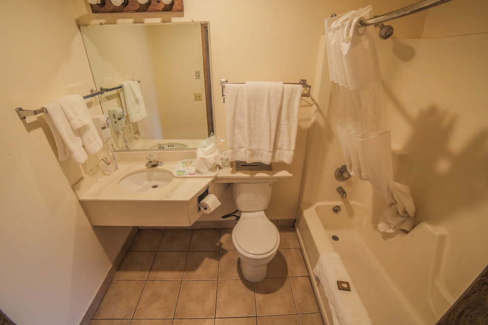 Sunnyside Inn & Suites - photo 65