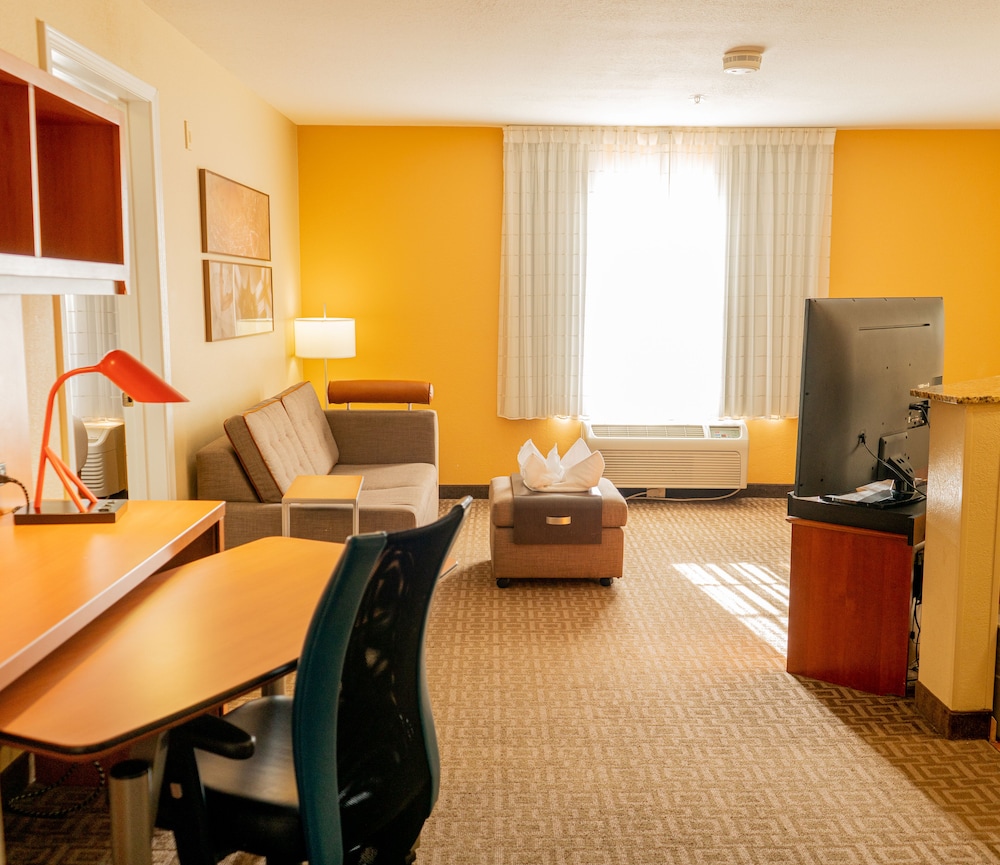 TownePlace Suites by Marriott Dallas Las Colinas - photo 17